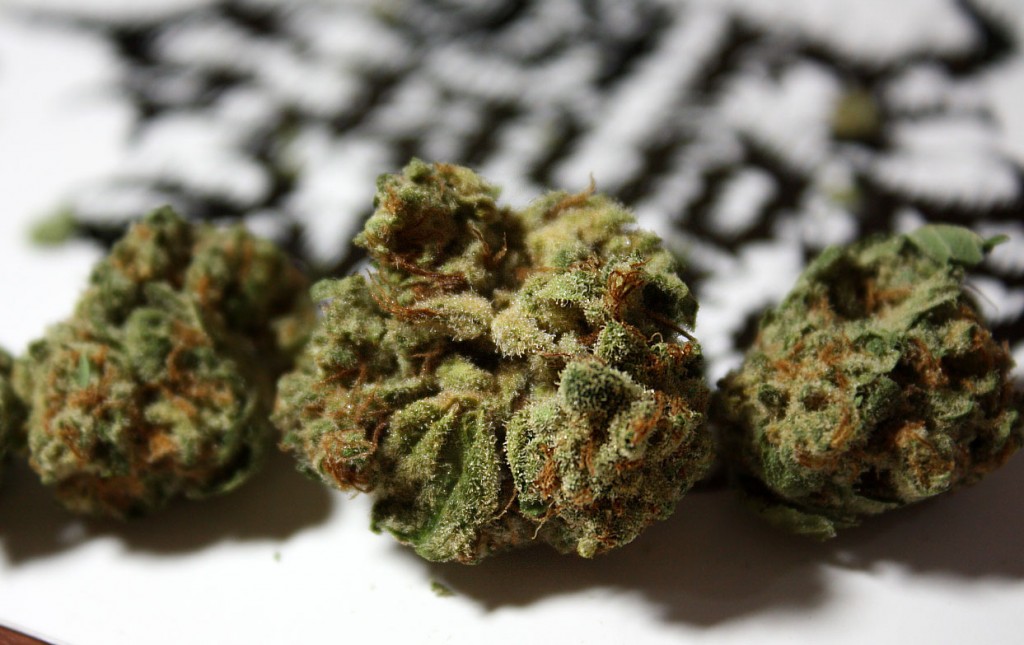 blackberry trainwreck marijuana review