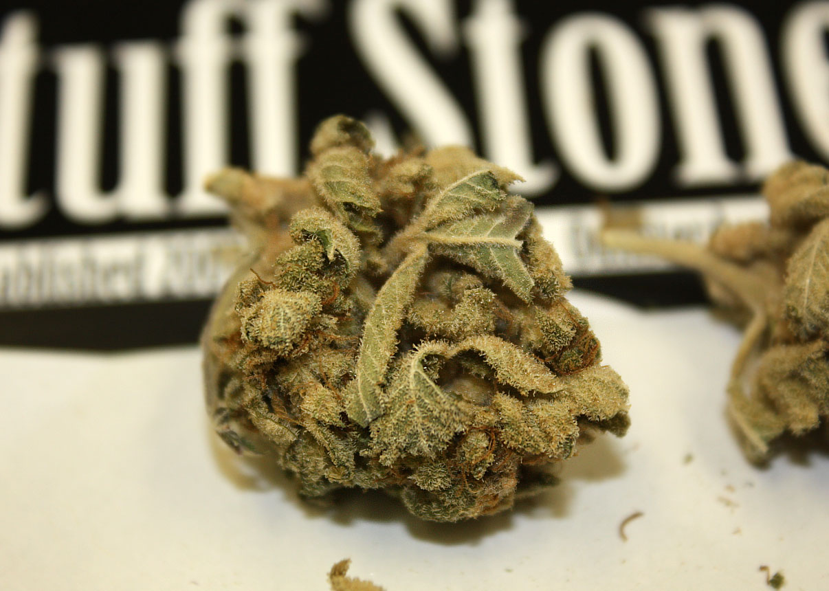 Lavender Strain Review