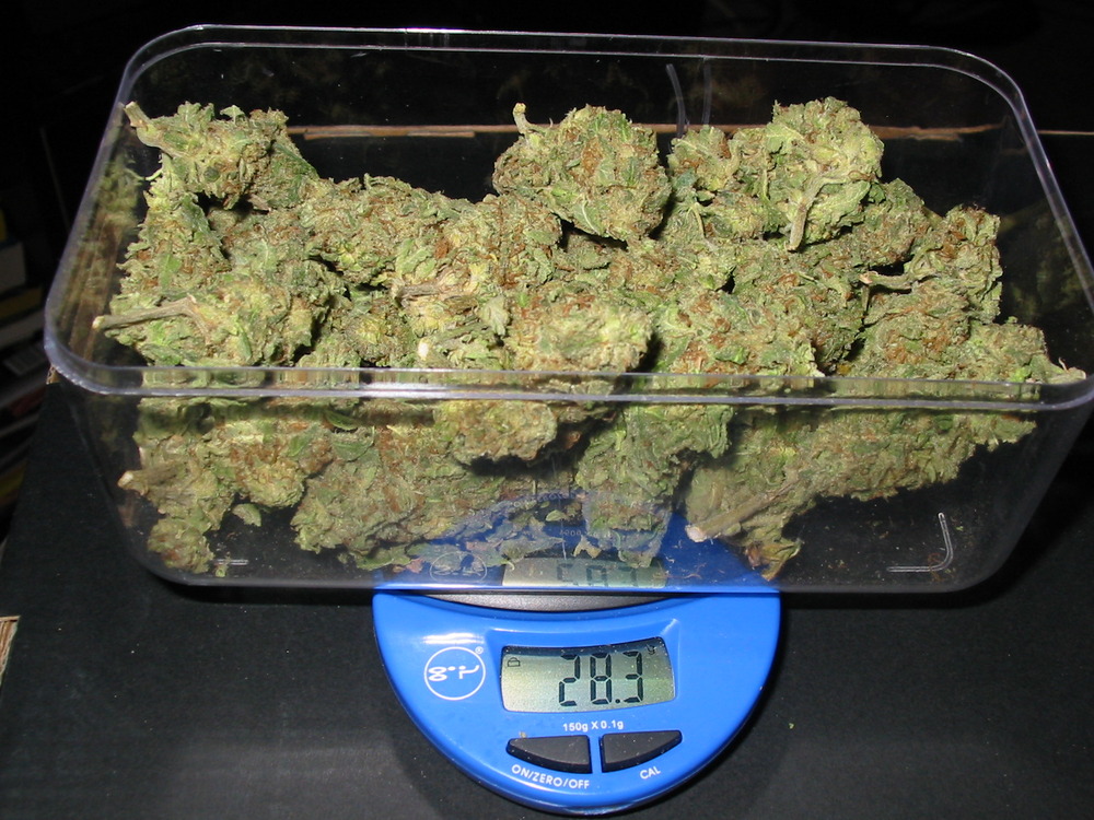 ounce of weed