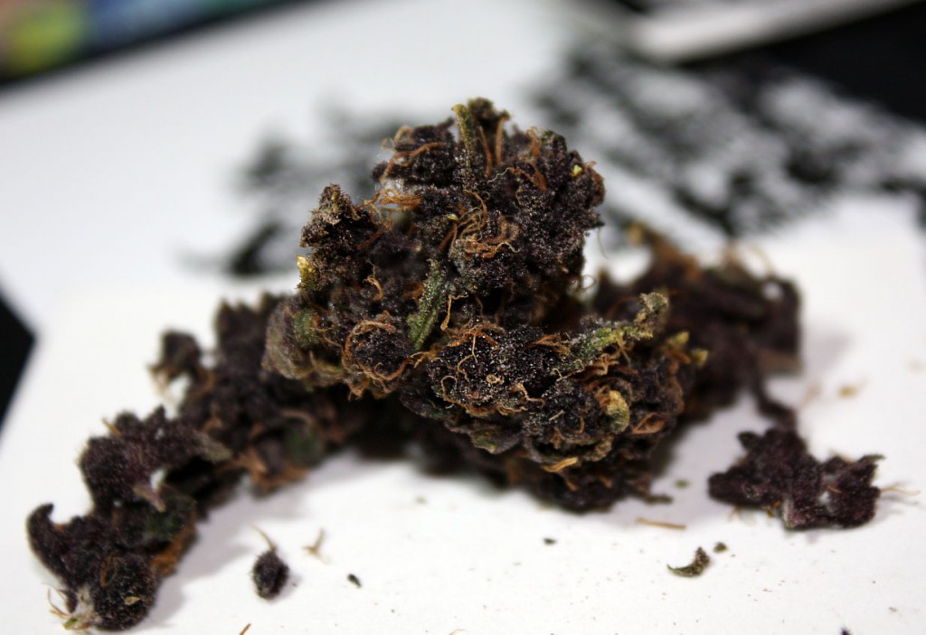 purple wendell berry marijuana strain review