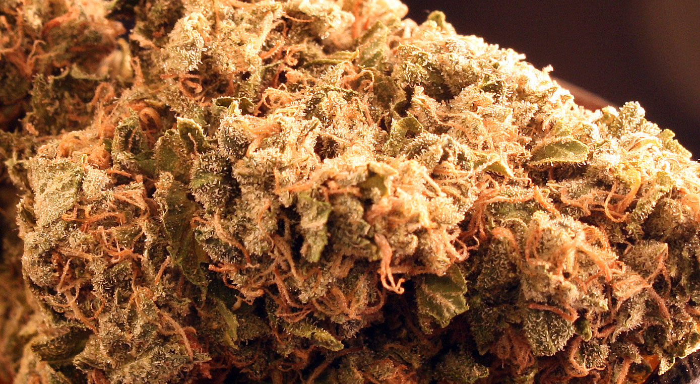 Northern Lights Strain Review