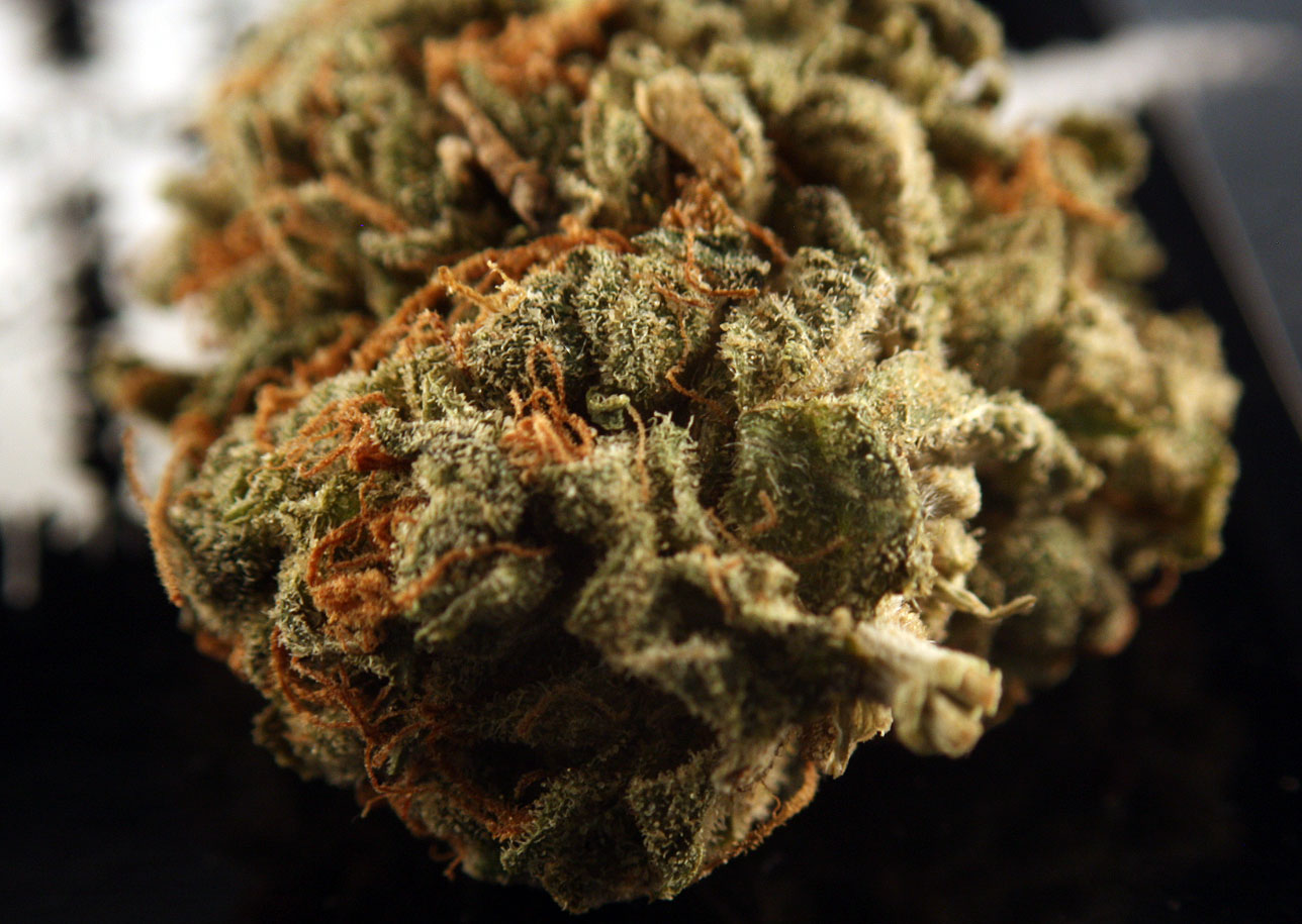 Juicy Fruit Strain Review