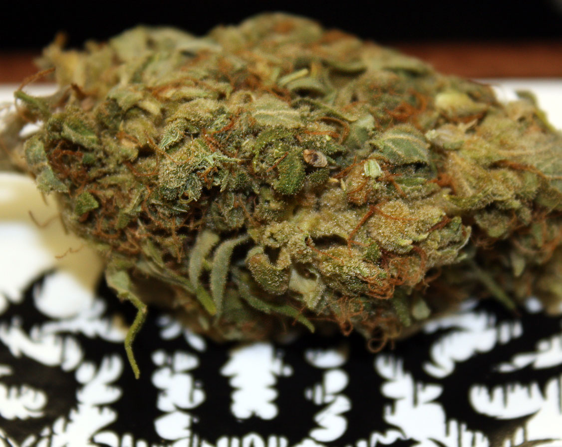Island Sweet Skunk Strain Review