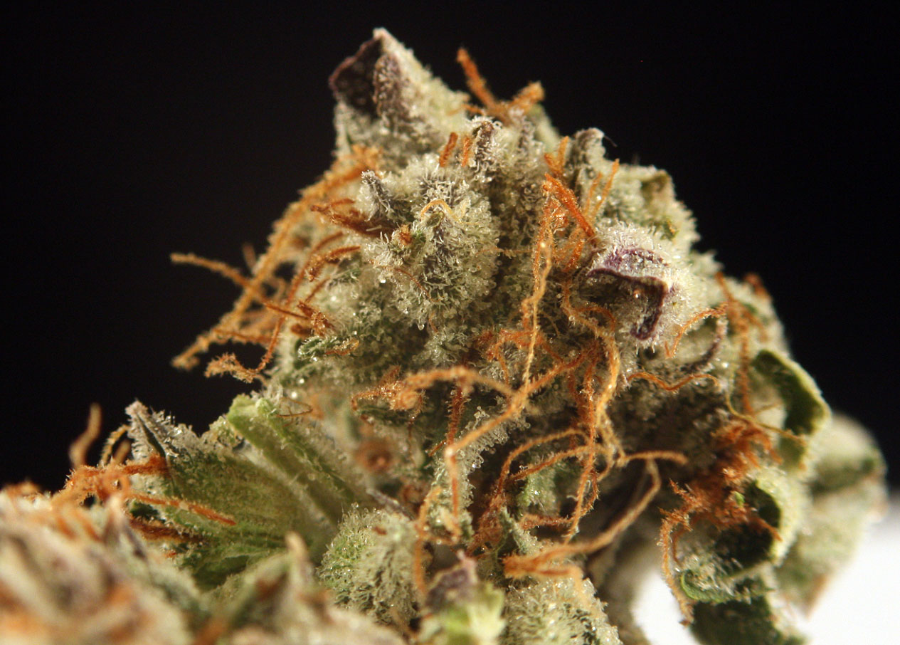 Lemon OG Marijuana Strain Review