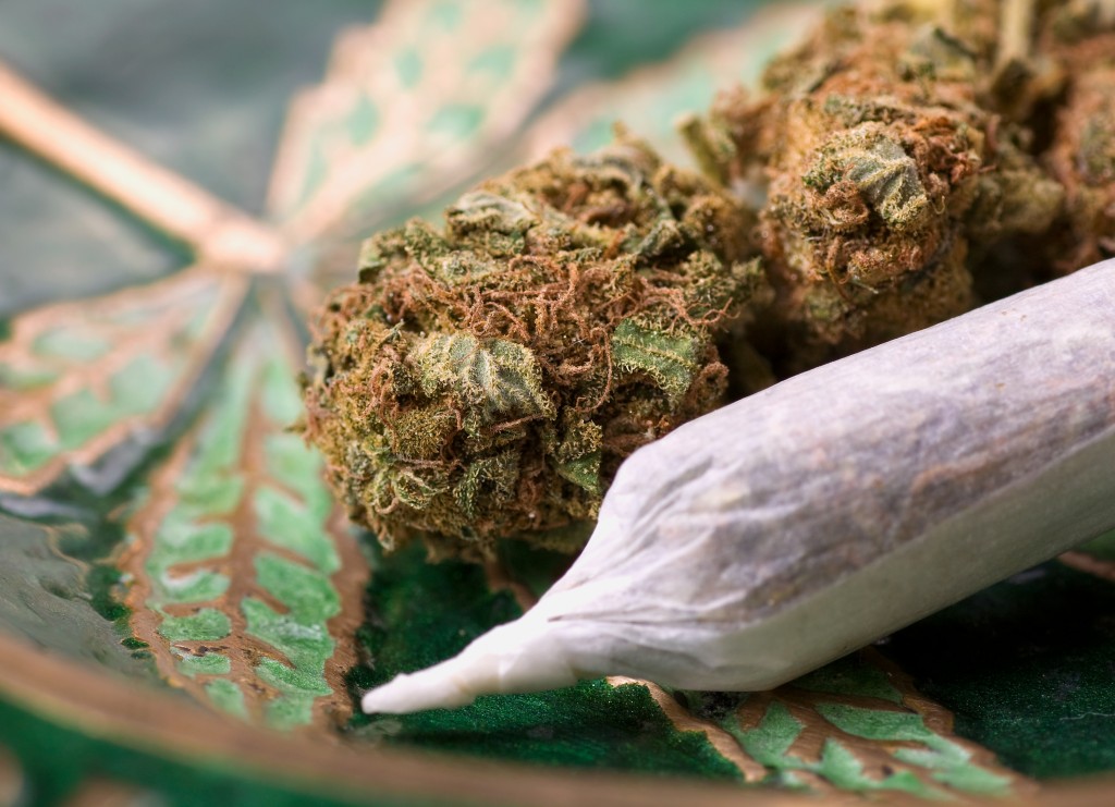 Marijuana’s Effects in Patients with Rheumatic Diseases