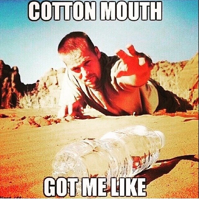 what is cottonmouth
