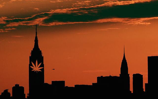 newyork marijuana