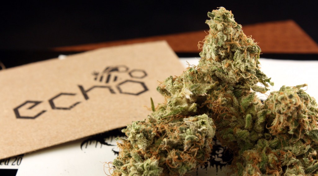 Grapefruit Marijuana Strain Review