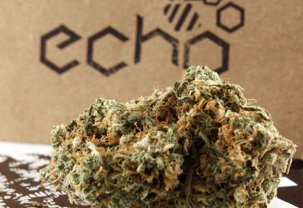 Weed Strain Review Super Lemon OG 7