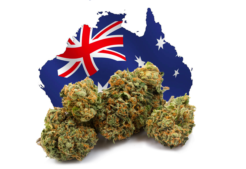 Australia Legalizes Medical Marijuana STUFF STONERS LIKE