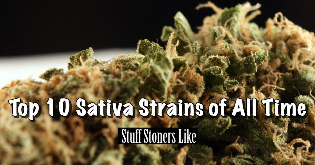 Top 10 Sativa Strains of All Time