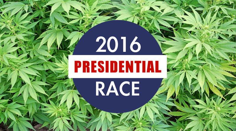 Marijuana Policy Project Updates Presidential Candidate Voter Guide