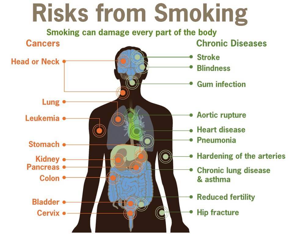 Study Indicates-Weed-Vaporizer-Usage-Poses-Less-Risk-for-Toxin-Exposure-vaporplants-smoking-damage-health-body