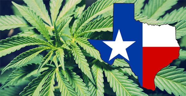 Texas marijuana