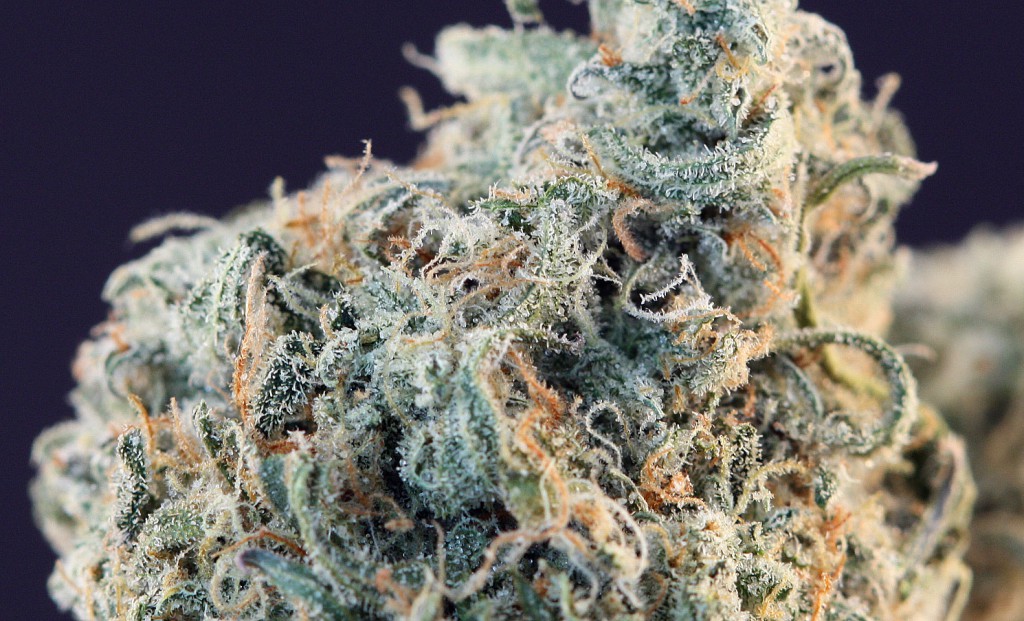 THC Detox Tips That Actually Work