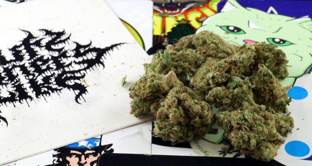 Dog Walker Marijuana Strain Review