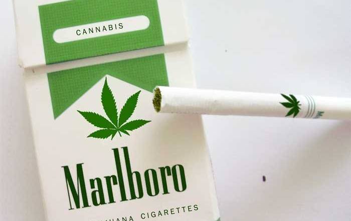 marlboro m marlboro cannabis weed cigarettes