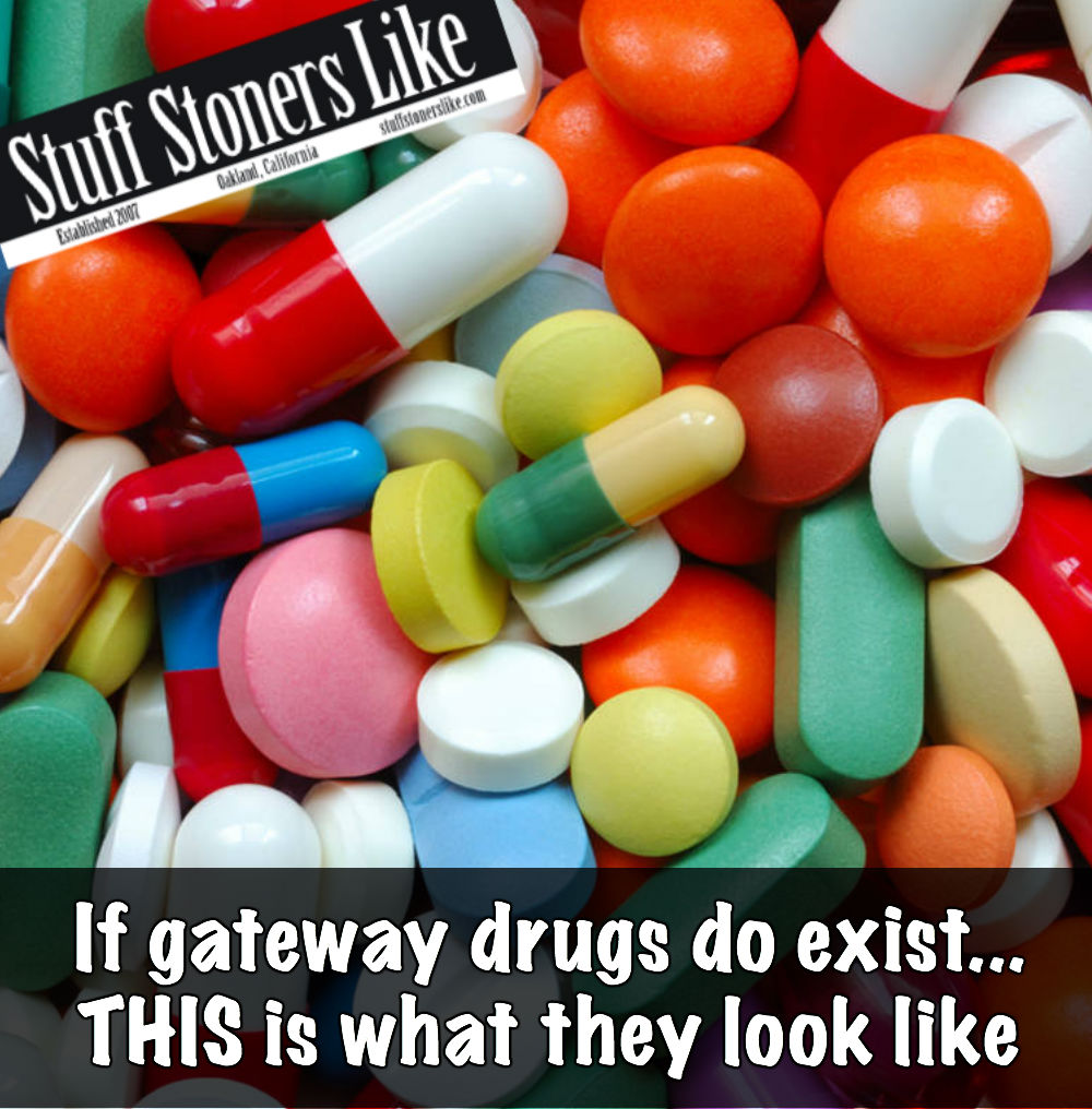 when it comes to the opiod epdidemic and gateway drugs