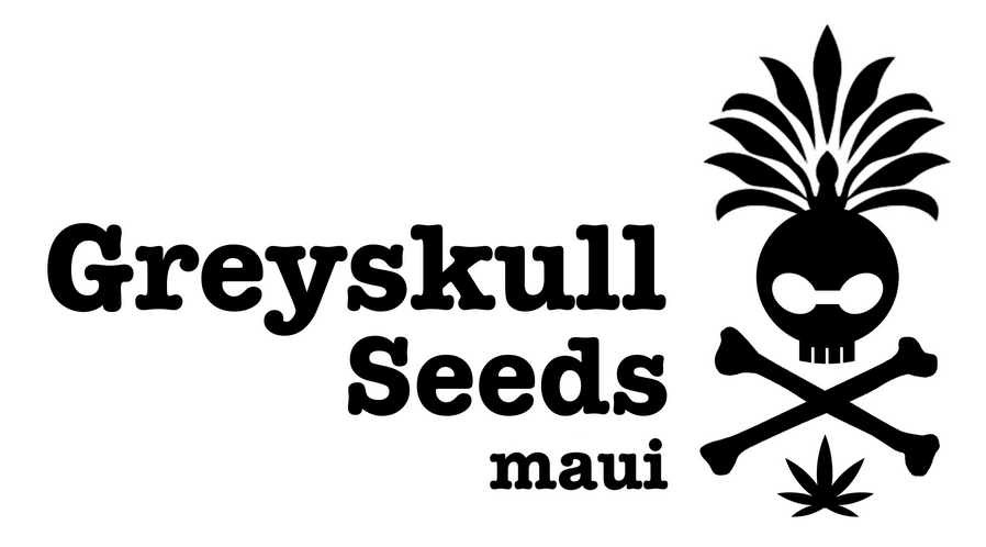 Grey Skull Seeds company logo