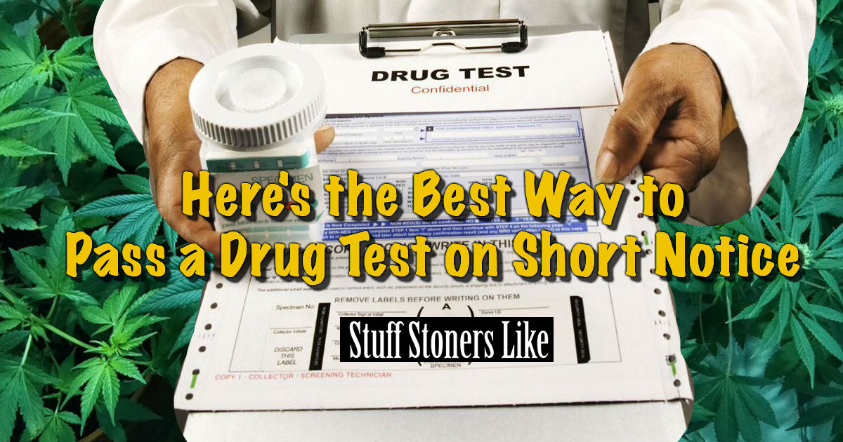Best Way To Pass A Drug Test_FB