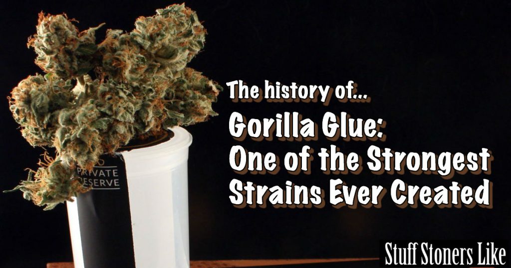 Gorilla Glue Weed History