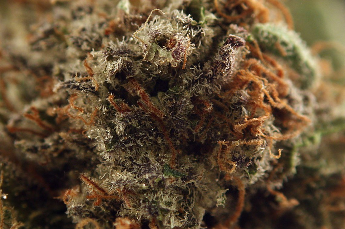 Marijuana laced with the fentanyl
