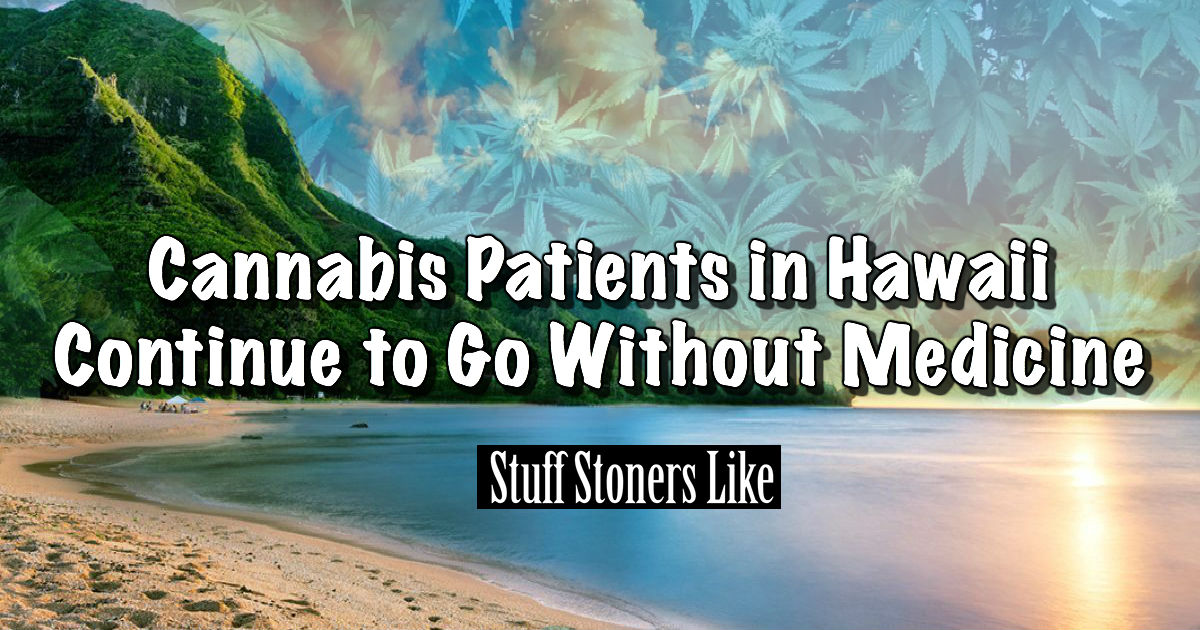 cannabis patients in hawaii