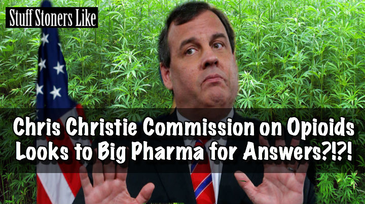 Christie Big Pharma hero