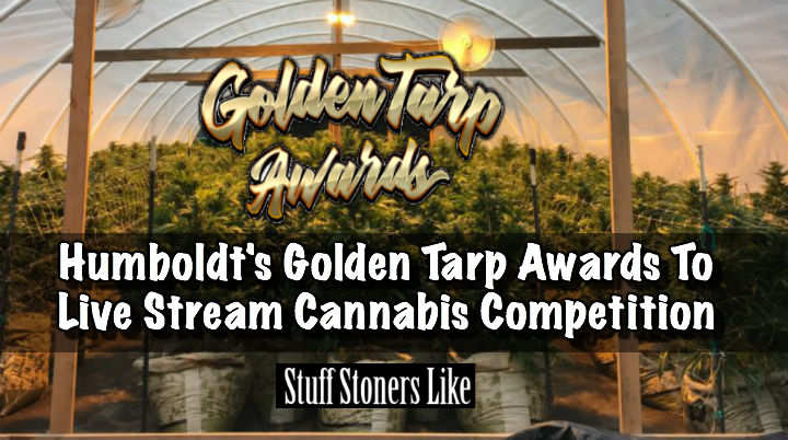 Golden Tarp Awards