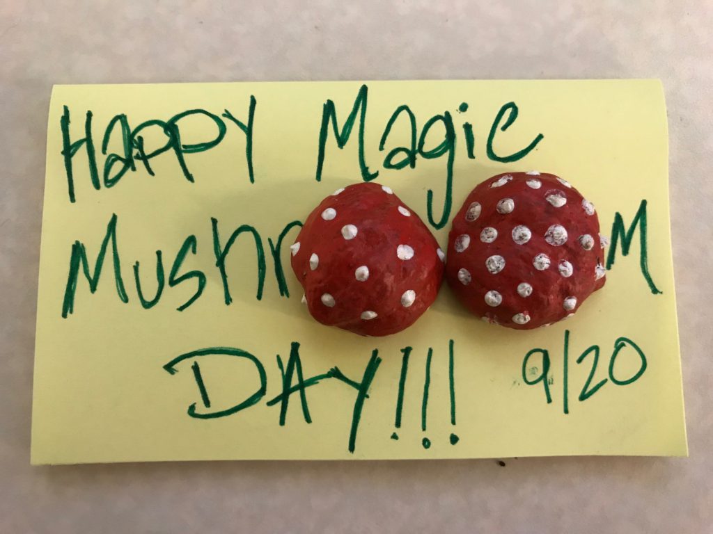 Magic Mushroom Day