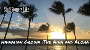 Hawaiian Grown 1