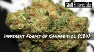 Different Forms of Cannabidiol (CBD)