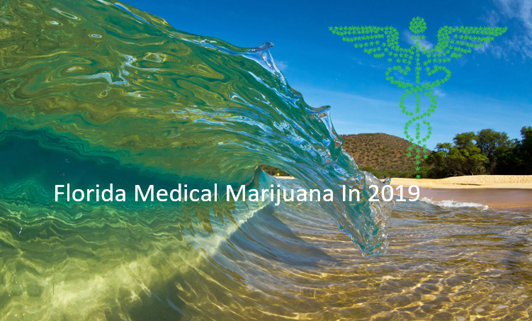 florida_medical_marijuana_in_2019