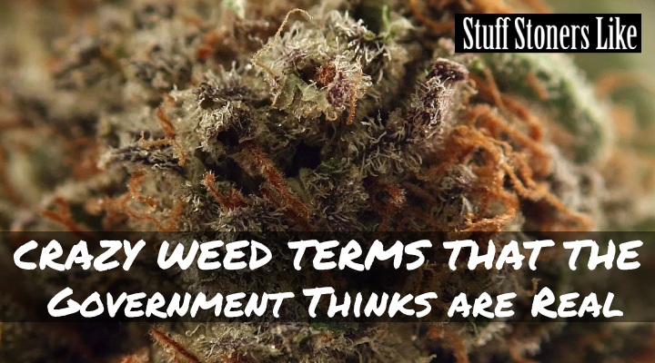 CRAZY WEED TERMS-this dope urban dictionary that lists every bit of weed slang ever uttered was created by none other than the Office of National Drug Policy. 