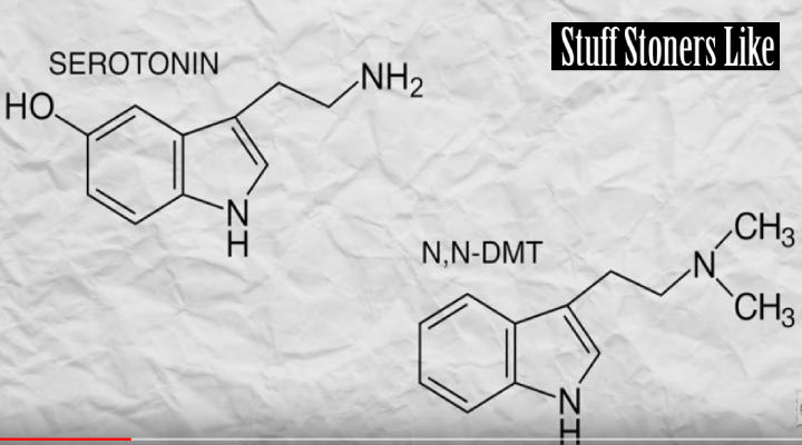 Serotonin and N,N-DMT