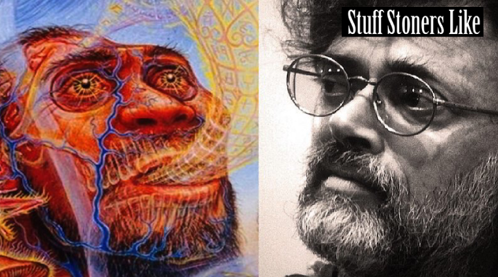 Terrance McKenna said that psychedelic mushrooms are the missing link in the story of human evolution