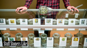 many types of marijuana on shelf