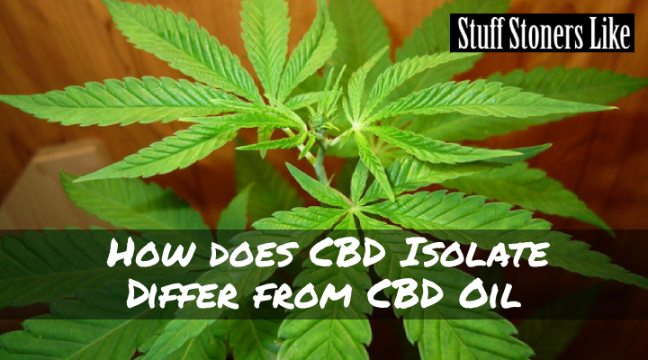 Do you know the difference between CBD isolate and CBD Oil? Well we'd be happy to explain.