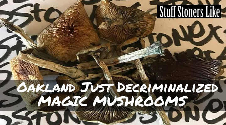Oakland became the second U.S. city to decriminalize magic mushrooms on Tuesday as City Council voted unanimously to decriminalize the adult use and possession of magic mushrooms and other entheogenic plants and fungi.