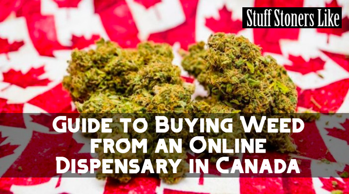 Guide to Buying Weed from an Online Dispensary in Canada