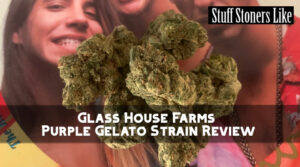 Purple Gelato from Glass House Farms