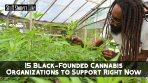 Black founded cannabis
