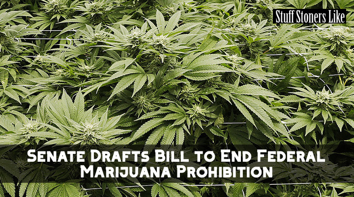 The proposal calls for removing marijuana from the Controlled Substances Act. 