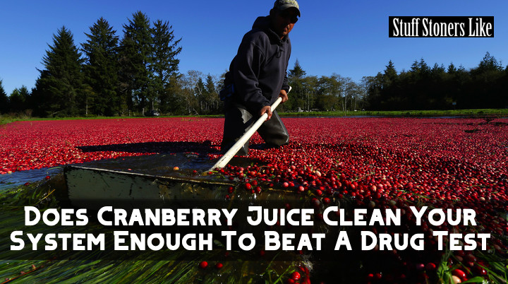 Cranberry juice might be able to help you pass a drug test