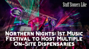 Northern Nights: 1st Music Festival to Host Multiple On-Site Dispensaries