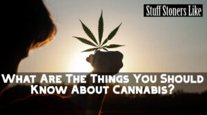 What Are The Things You Should Know About Cannabis