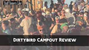Dirtybird Campout Review
