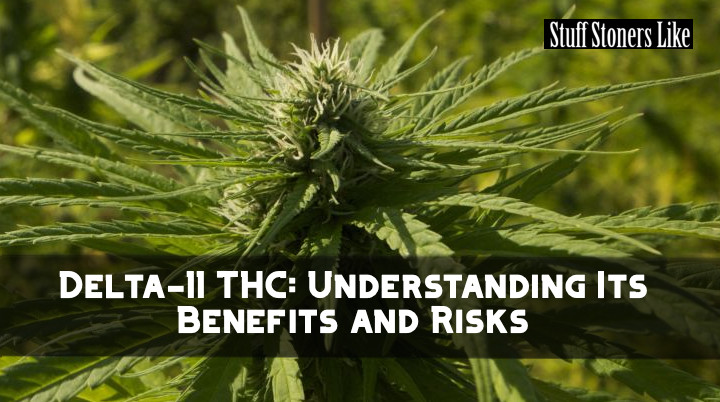 Delta-11 THC Understanding Its Benefits and Risks