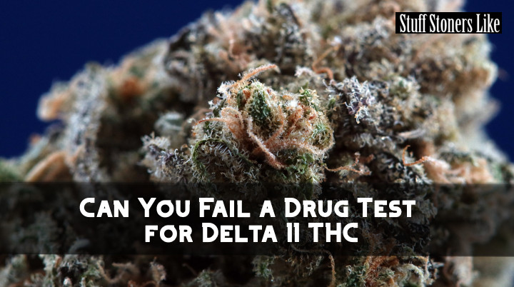 Can You Fail a Drug Test for Delta 11 THC
