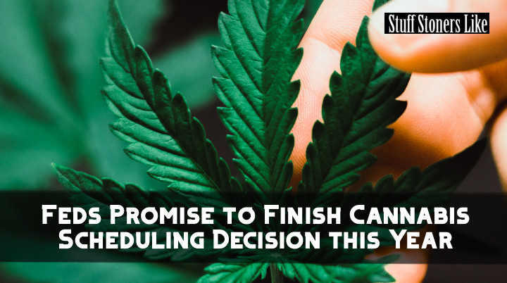 Feds Promise to Finish Cannabis Scheduling Decision this Year